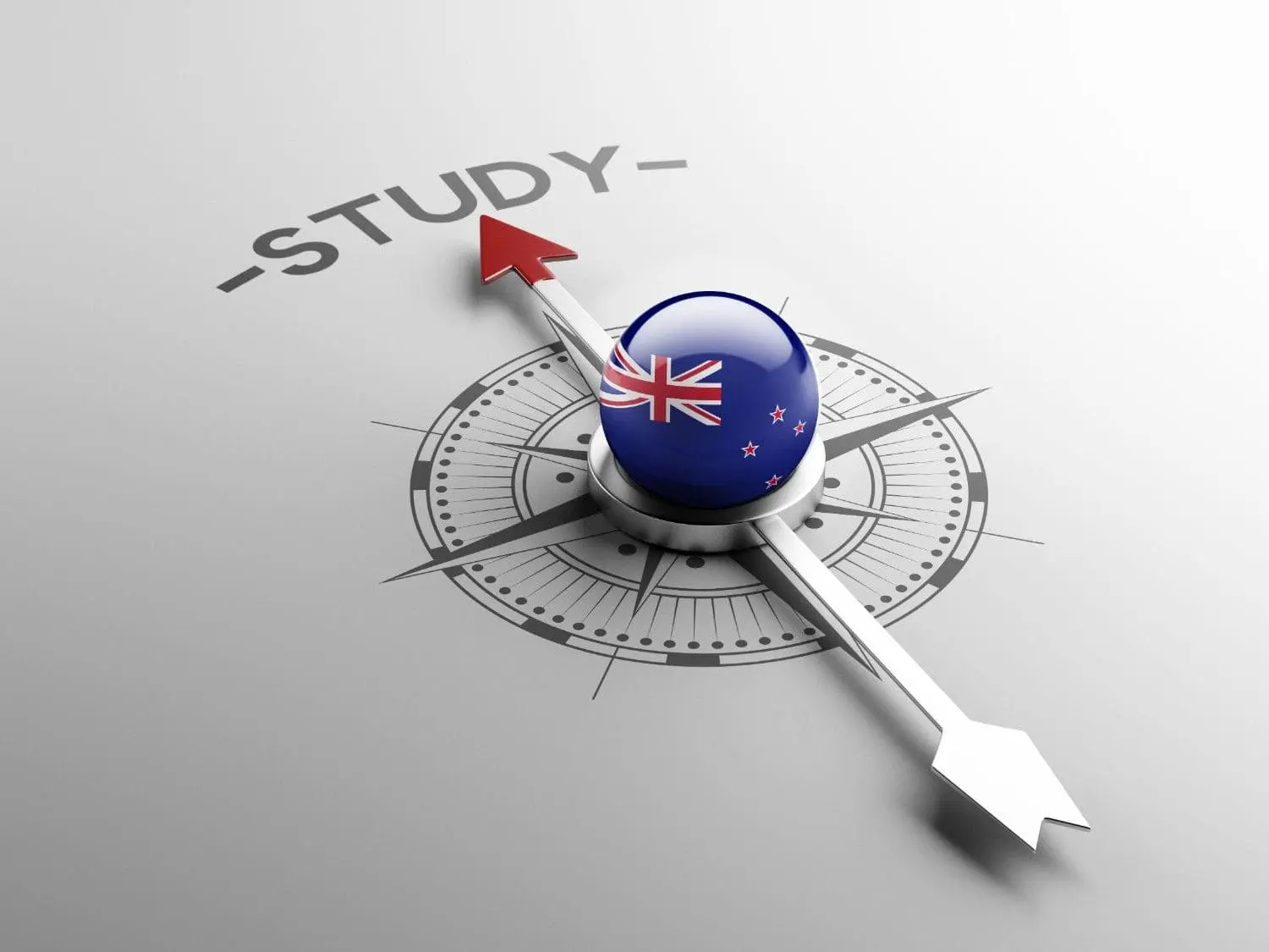 courses-offered-in-new-zealand-for-nigerian-students